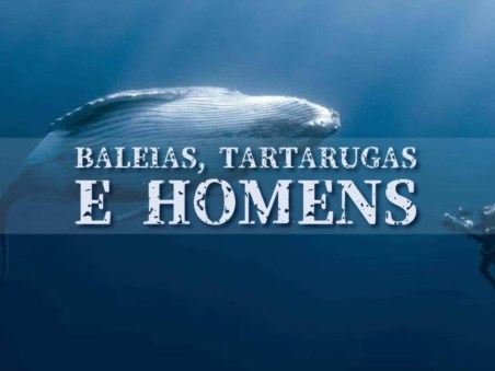Baleias, Tartarugas E Homens