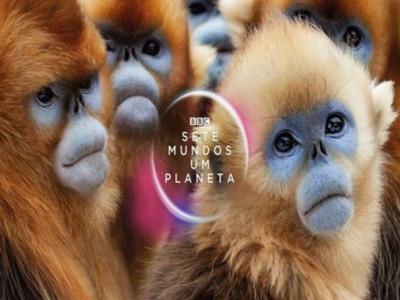 Sete Mundos, Um Planeta