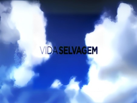 Vida Selvagem