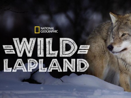 Wild Lapland