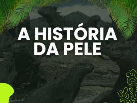 A História da Pele