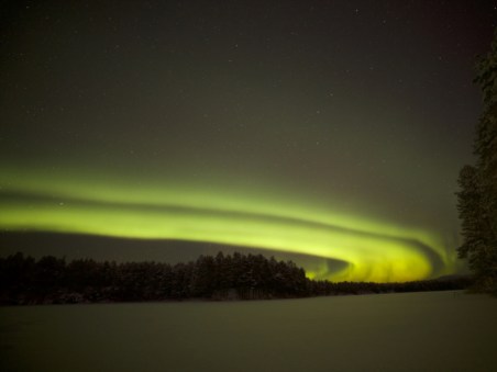 Wild Lapland 1