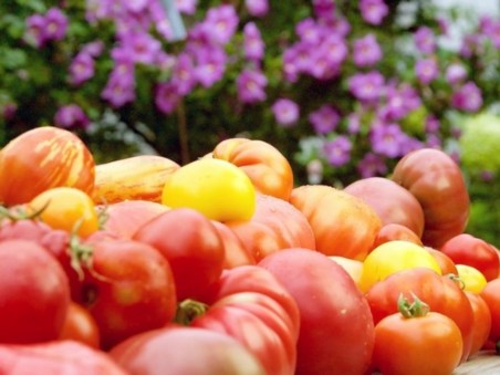 Cuisines Des Terroirs
