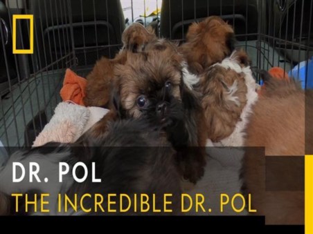 The Incredible Dr. Pol