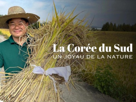 La Corée Du Sud, Un Joyau De La Nature