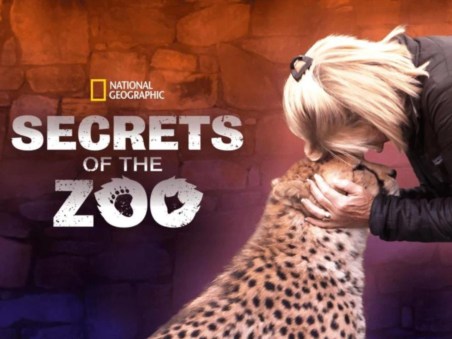 Secrets of The Zoo: Tampa