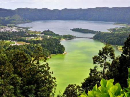 Portugal's Wild Wonders