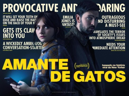 Amante de Gatos