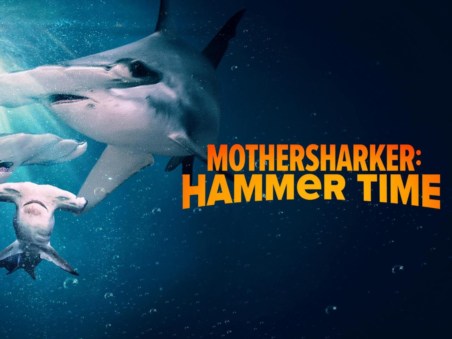 MotherSharker: Hammer Time