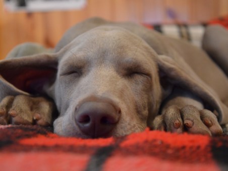 Tempo de Dormir