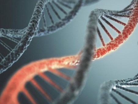 Fremde Dna