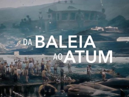 Da Baleia ao Atum
