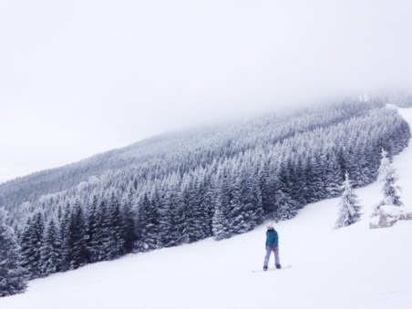The Standard Snowboard Show