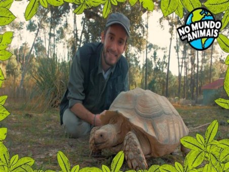 No Mundo dos Animais
