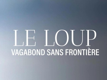 Le Loup, Un Vagabond Sans Frontière