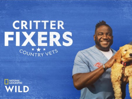 Critter Fixers: Country Vets: Snake Compilation 2025