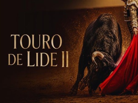 Toiro de Lide II