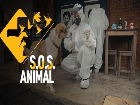 Sos Animal, Ser Por Todos os Seres