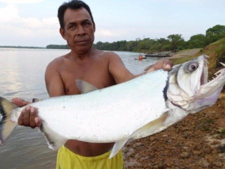De Viagem: Na Bacia Amazónica Boliviana