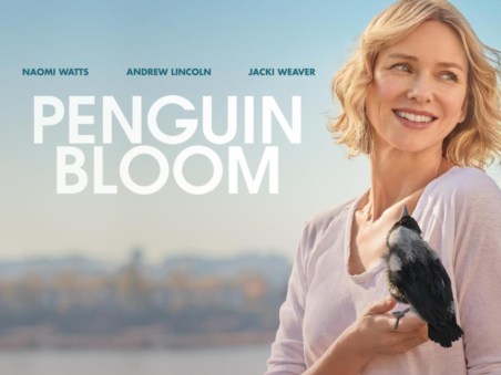 Penguin Bloom: O Renascer