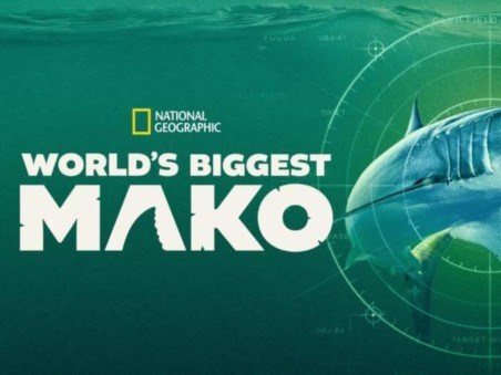 World's Biggest Mako