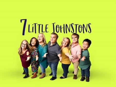 7 Little Johnstons