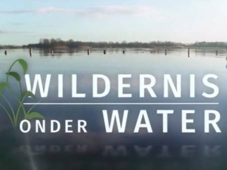 Wildernis onder water