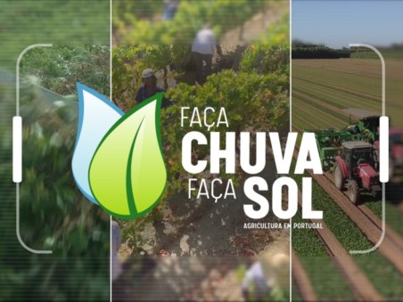 Faça Chuva Faça Sol