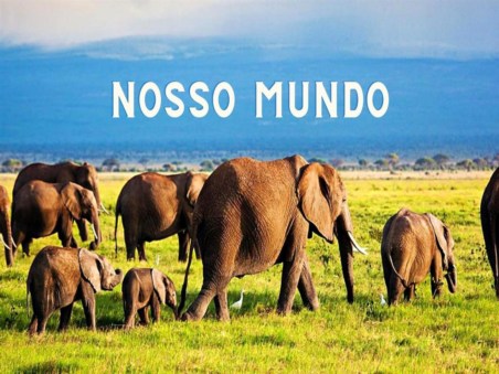 Nosso Mundo - Entre Moinhos e Natureza Selvagem