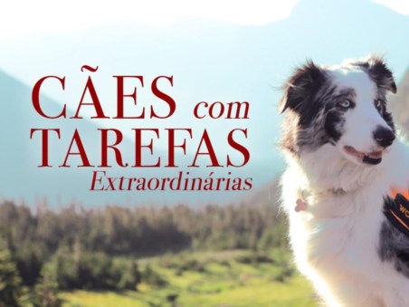 Cães com Tarefas Extraordinárias