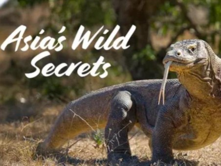 Asia's Wild Secrets Compilation