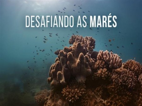 Desafiando as Marés