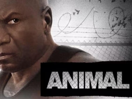 Animal