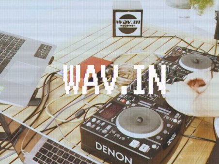 Mini-Doc Wav.In