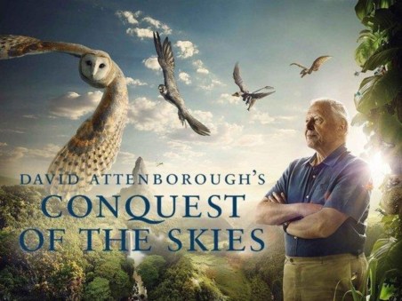 A Conquista dos Céus de David Attenborough