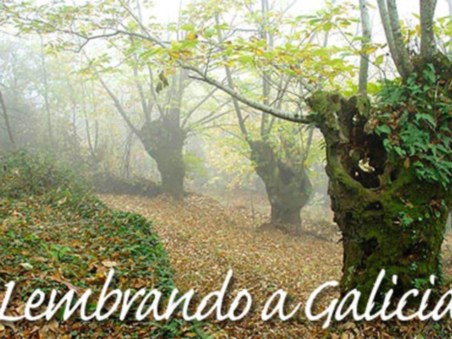 Lembrando a Galicia XIII