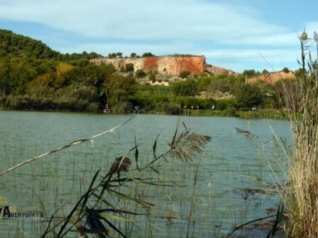 Almenara, o Renascer do Estany