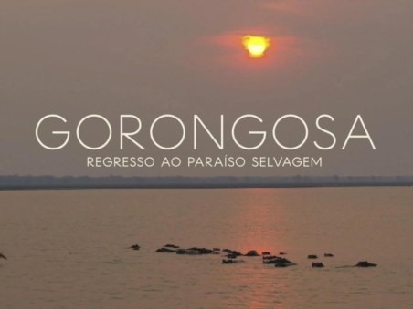 Gorongosa - Regresso ao Paraíso Selvagem