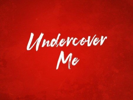 I Went Undercover