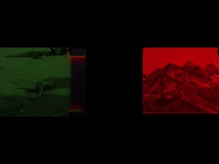 Things He Might Have Seen (For Two Screens)