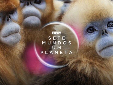 Sete Mundos, Um Planeta