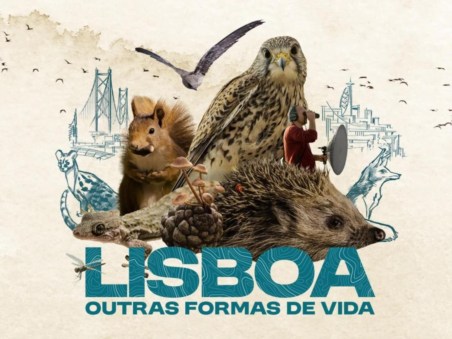 Lisboa, Outras Formas de Vida